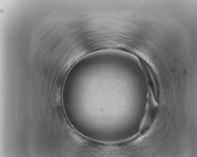 X0000088600889200706011200