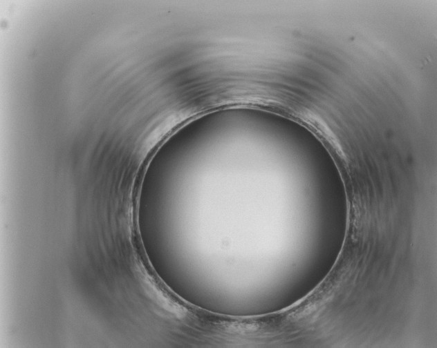 X0000088600890200706011200