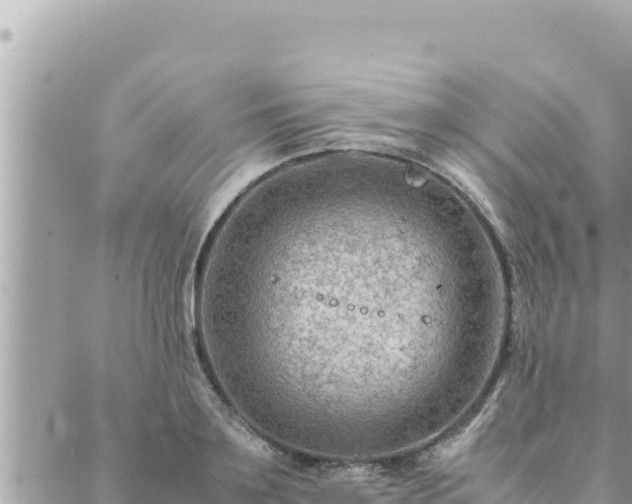 X0000088600891200706011200