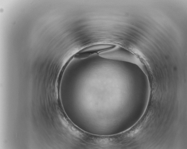 X0000088600892200706011200