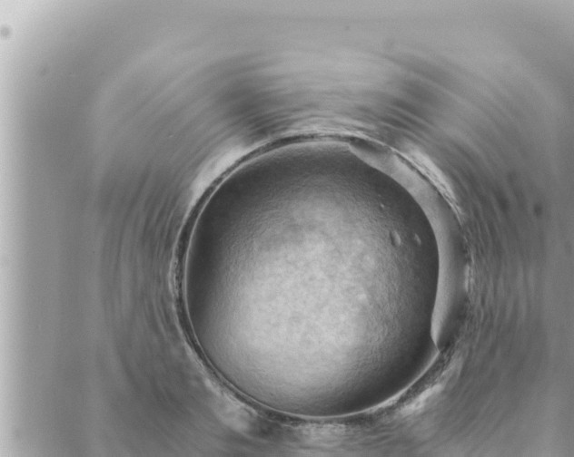 X0000088600893200706011200