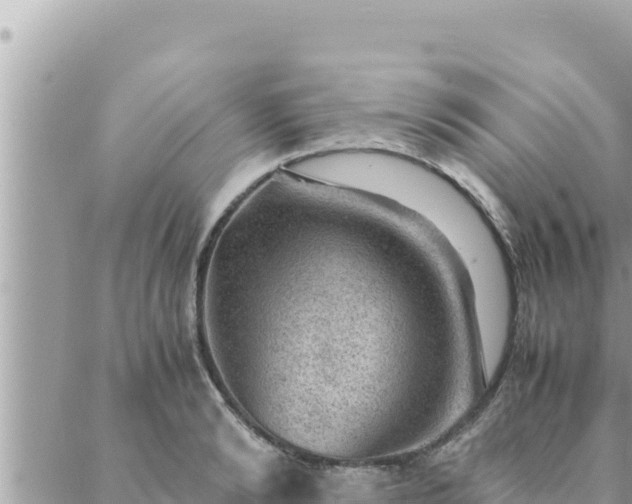 X0000088600894200706011200