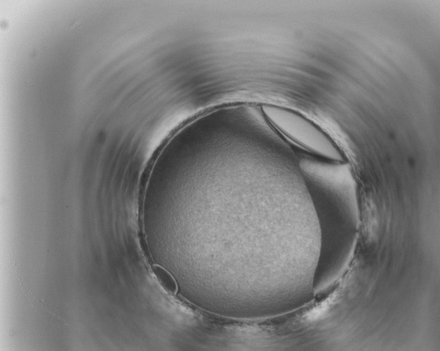 X0000088600896200706011200