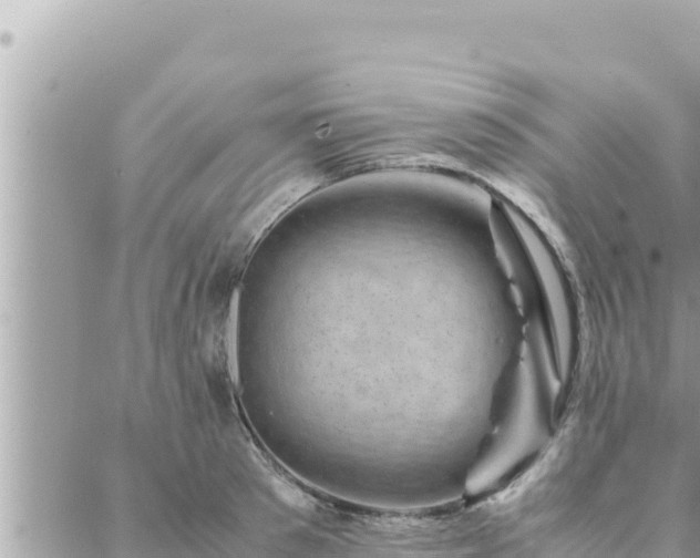 X0000088600897200706011200