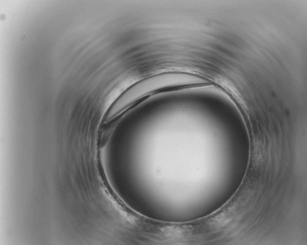 X0000088600898200706011200