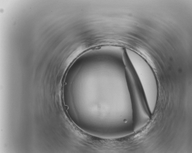 X0000088600899200706011200