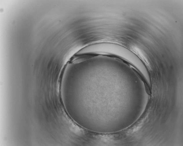 X0000088600900200706011159