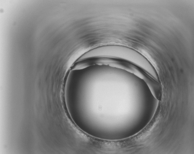 X0000088600901200706011159