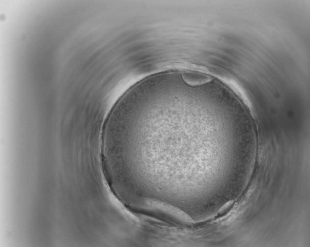 X0000088600903200706011159