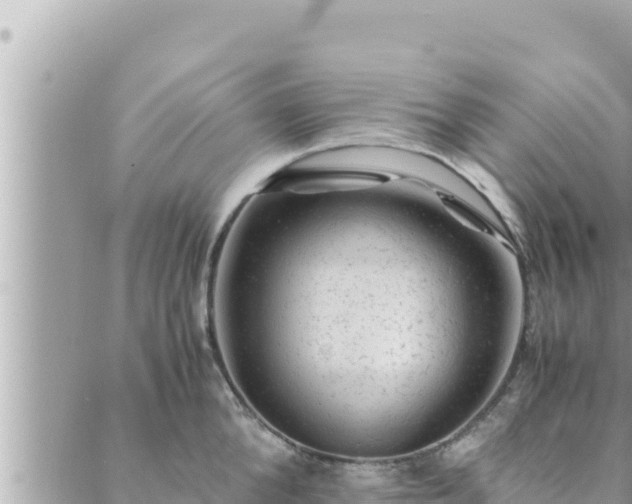 X0000088600904200706011159