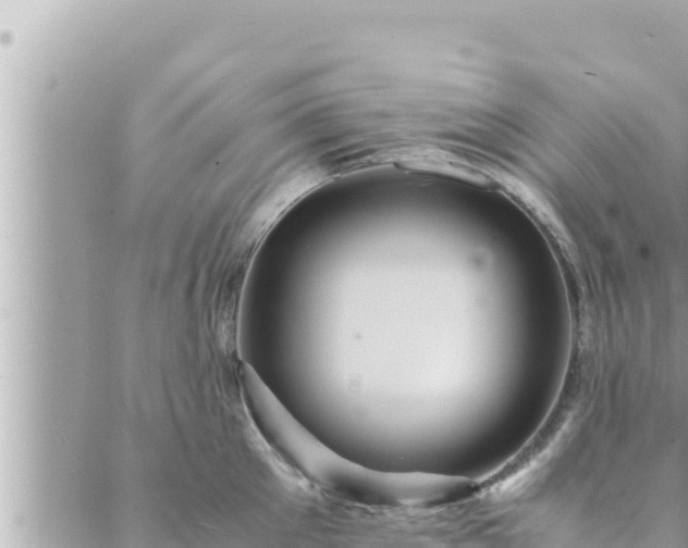 X0000088600905200706011159