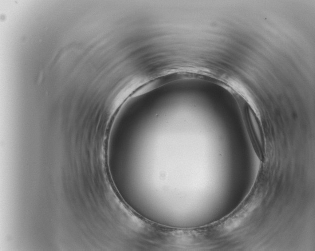 X0000088600906200706011159