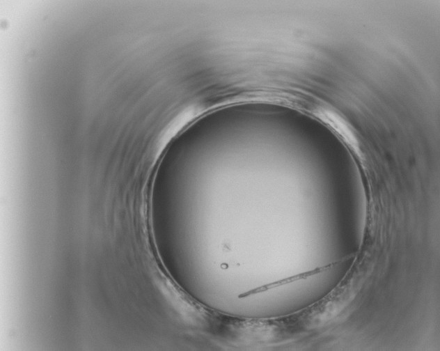 X0000088600907200706011159