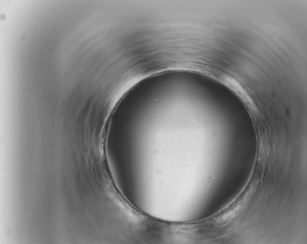 X0000088600908200706011159