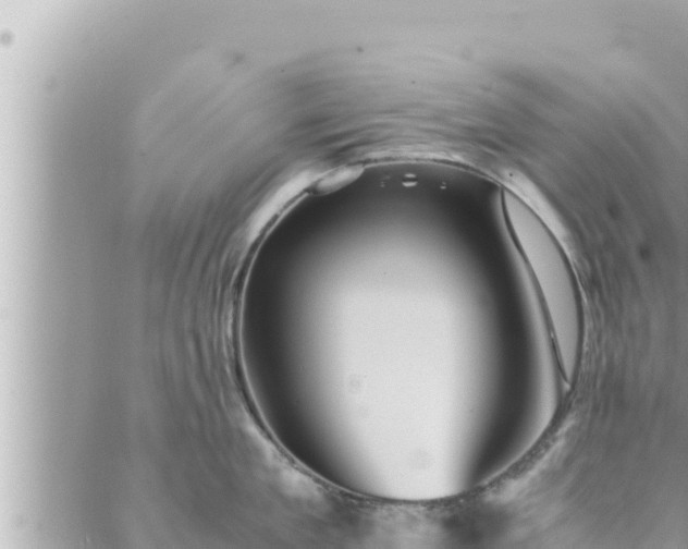 X0000088600909200706011159