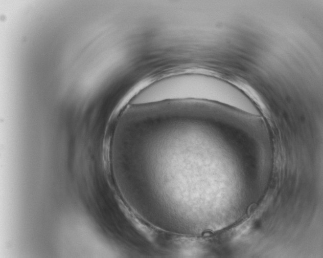 X0000088600910200706011159