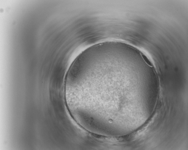 X0000088600911200706011159