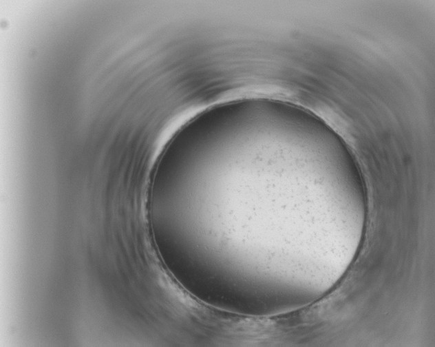 X0000088600912200706011159