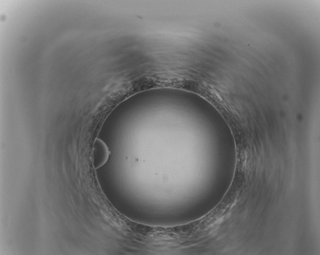 X0000088600913200706011159