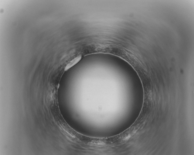 X0000088600914200706011159