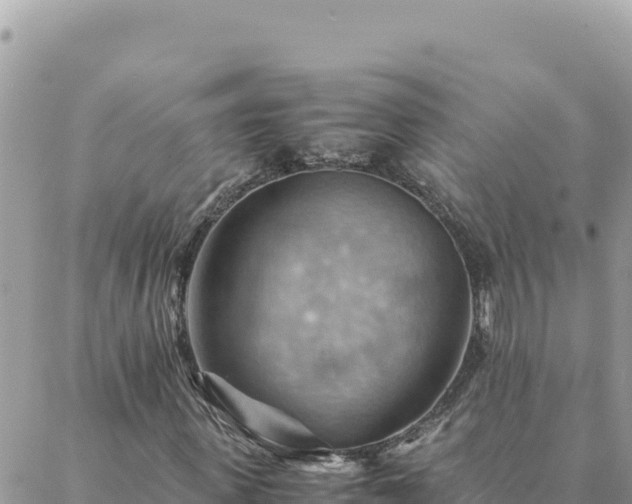 X0000088600915200706011159