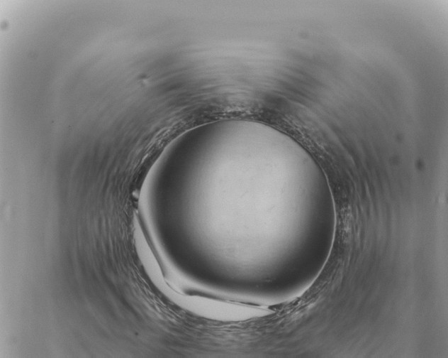 X0000088600916200706011159