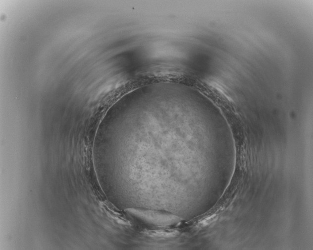 X0000088600917200706011159