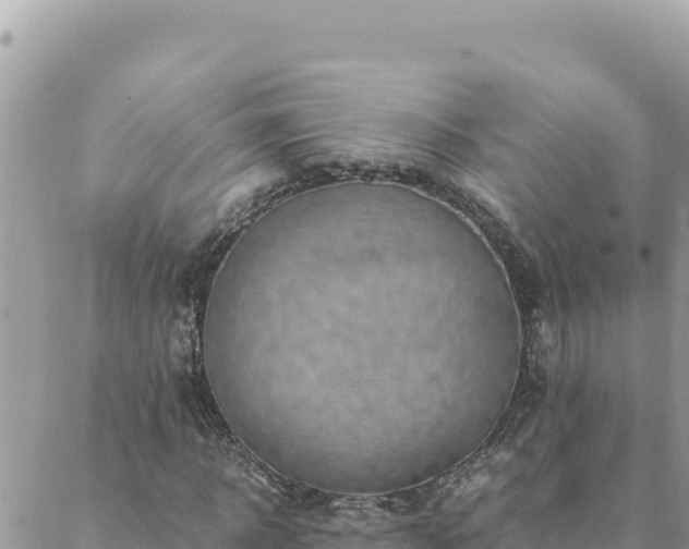 X0000088600918200706011159