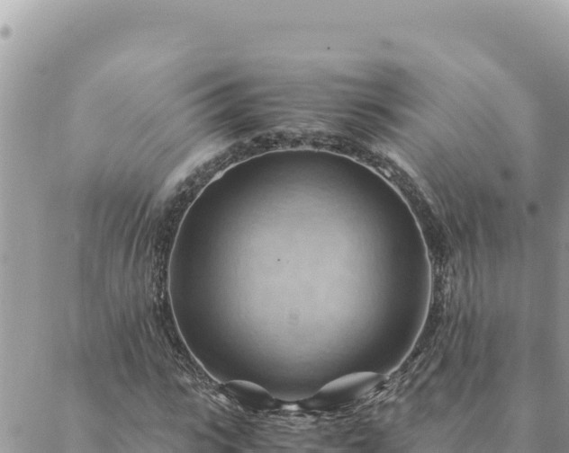 X0000088600919200706011159