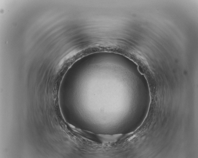 X0000088600920200706011159