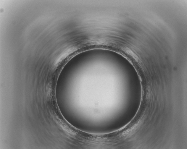 X0000088600922200706011159