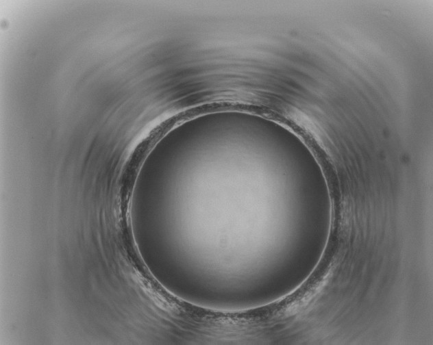 X0000088600923200706011159