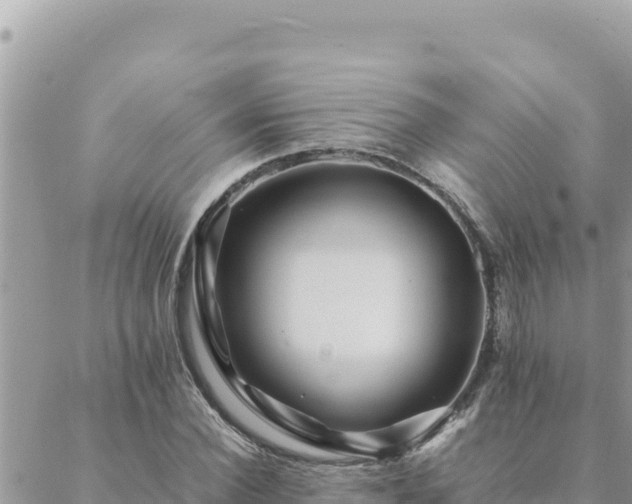 X0000088600924200706011159