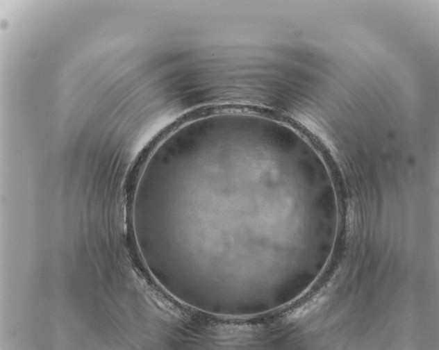 X0000088600925200706011159