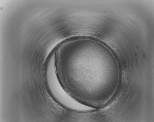 X0000088600926200706011159