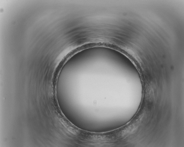 X0000088600927200706011159