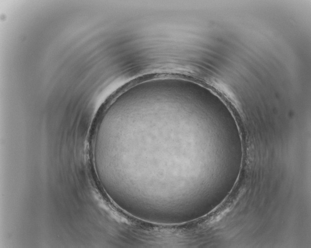 X0000088600928200706011159