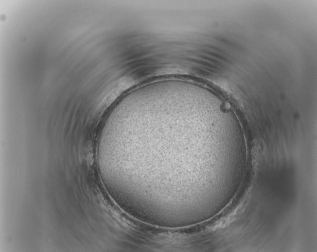 X0000088600929200706011159