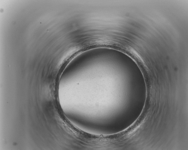 X0000088600930200706011159