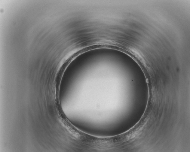 X0000088600931200706011159