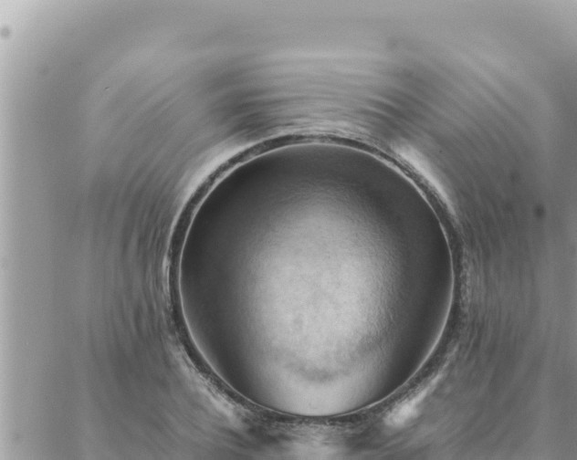 X0000088600932200706011159