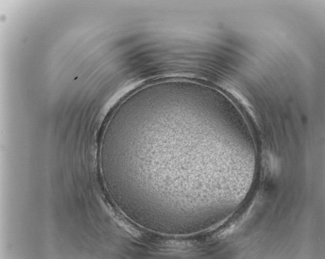 X0000088600933200706011159