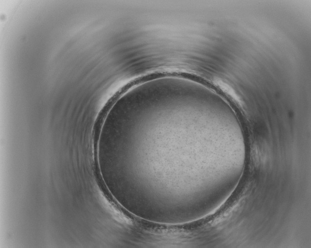 X0000088600934200706011159