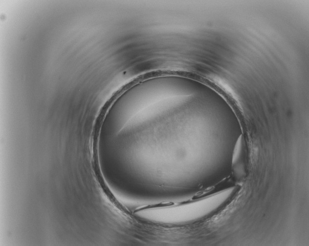 X0000088600935200706011159