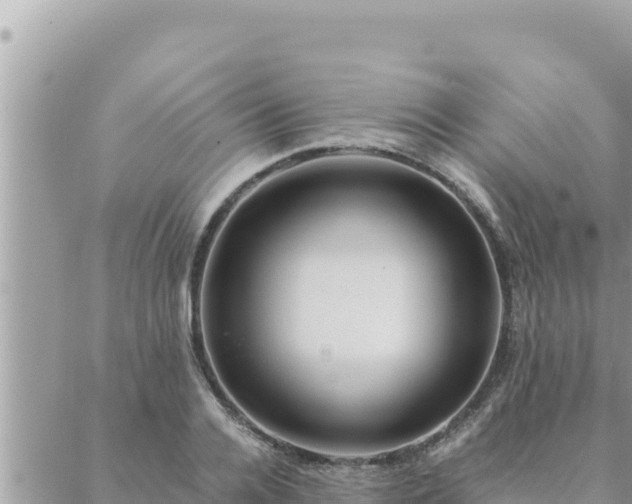 X0000088600936200706011159