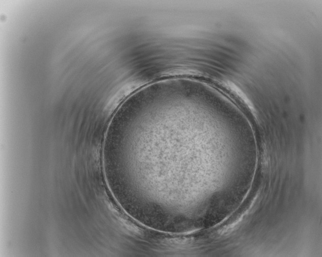 X0000088600937200706011159