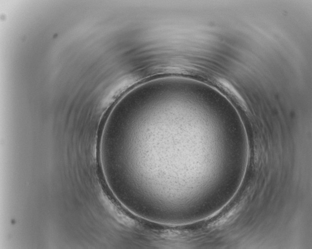 X0000088600938200706011159