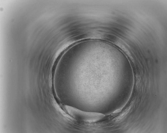 X0000088600939200706011159