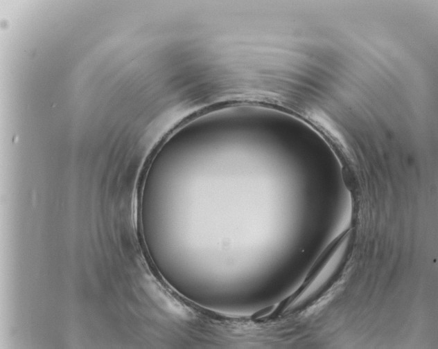 X0000088600940200706011159