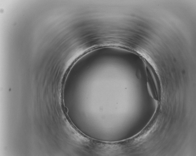 X0000088600941200706011159